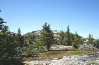 Part way up to Little White Mtn peak 2009-09.